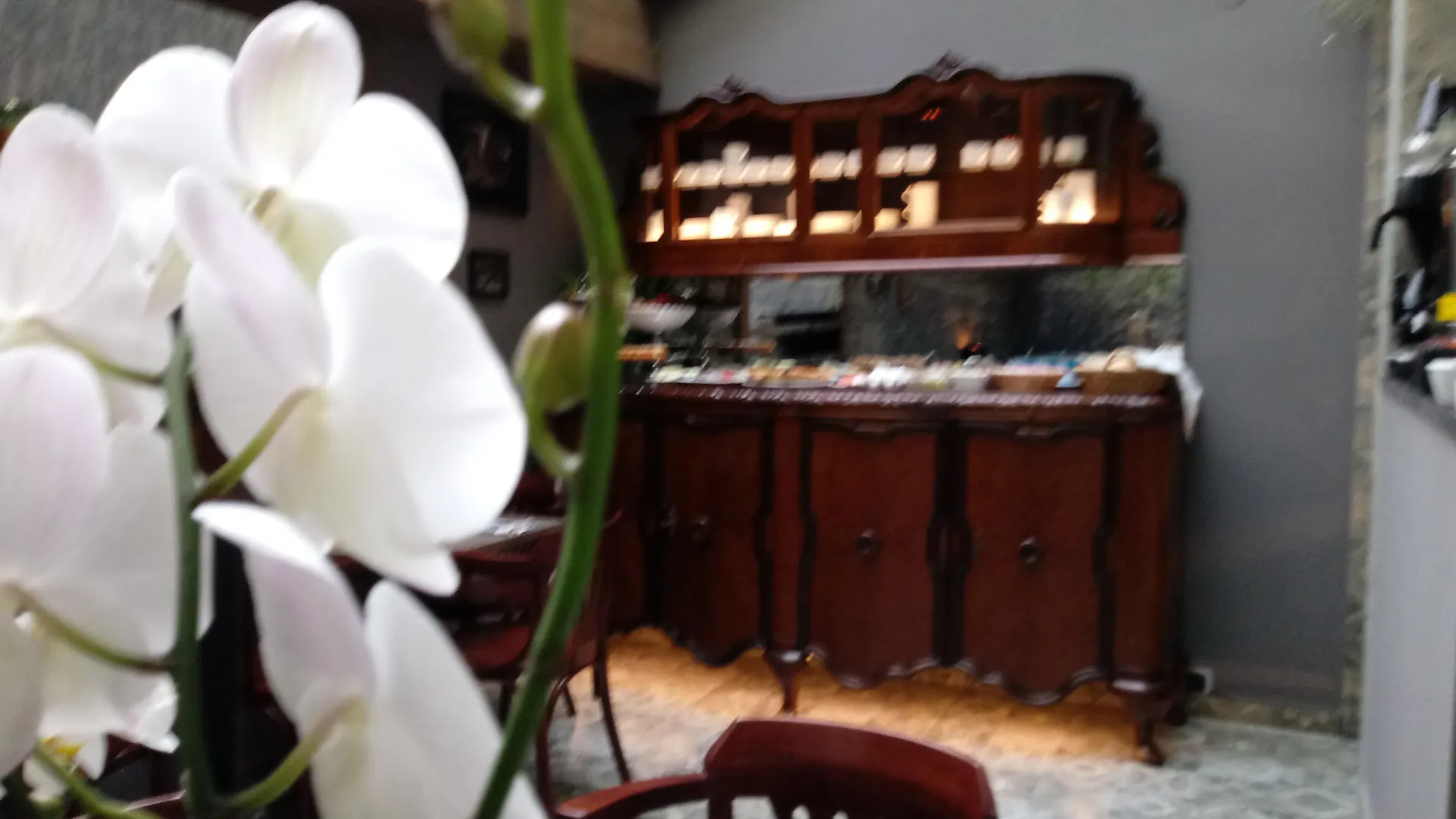 Shalom Kazimierz Aparthotel Kraków